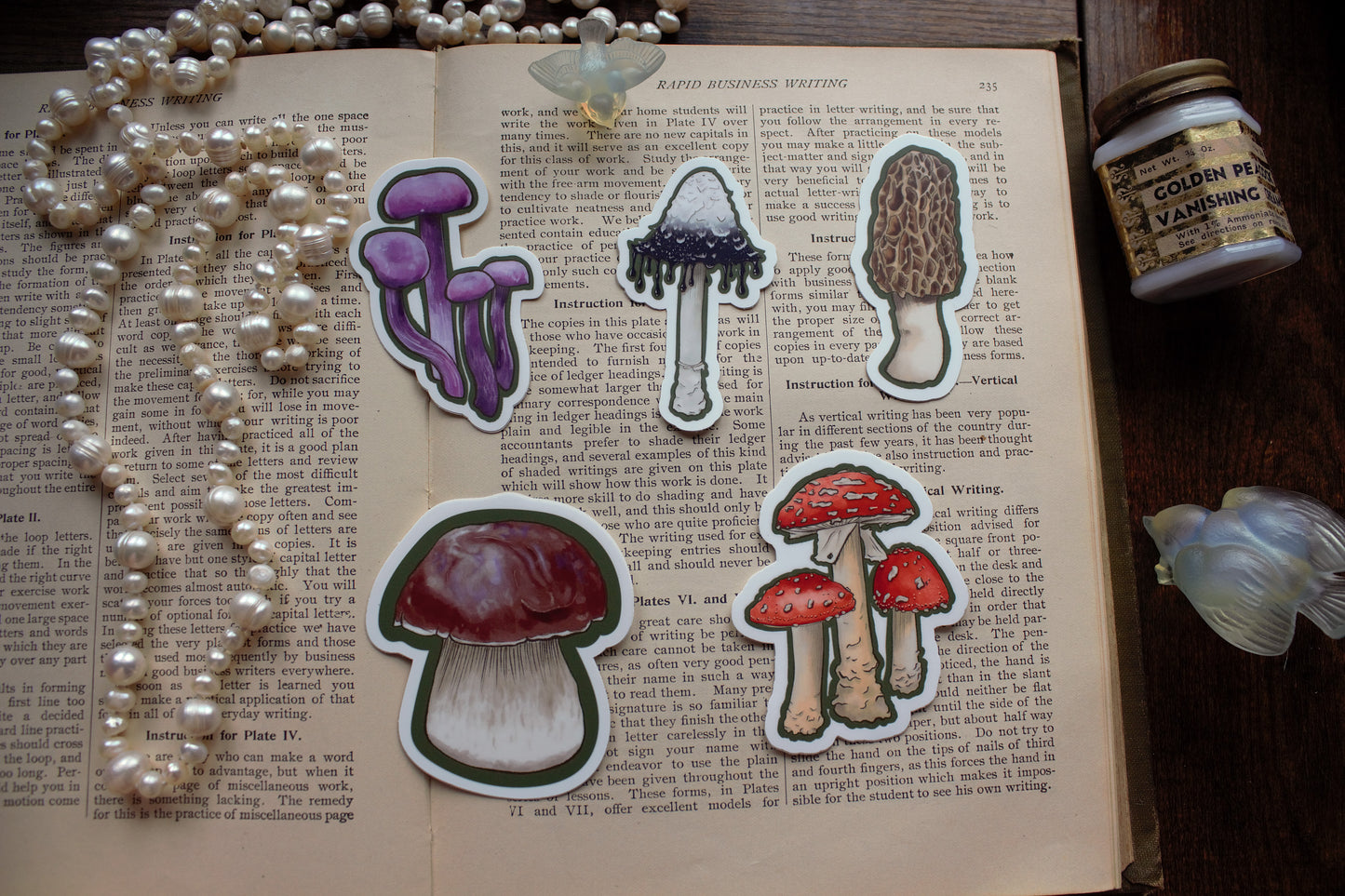Morel Mushroom Sticker