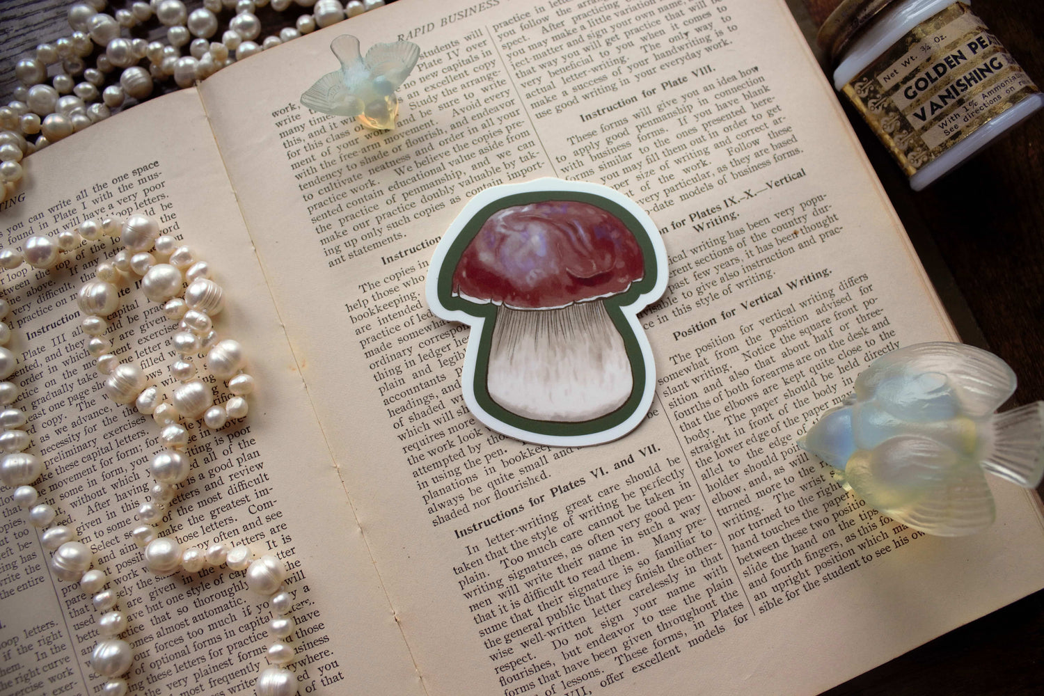 Penny Bun Mushroom Sticker