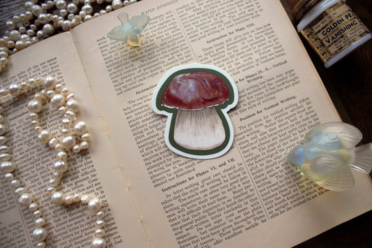 Penny Bun Mushroom Sticker