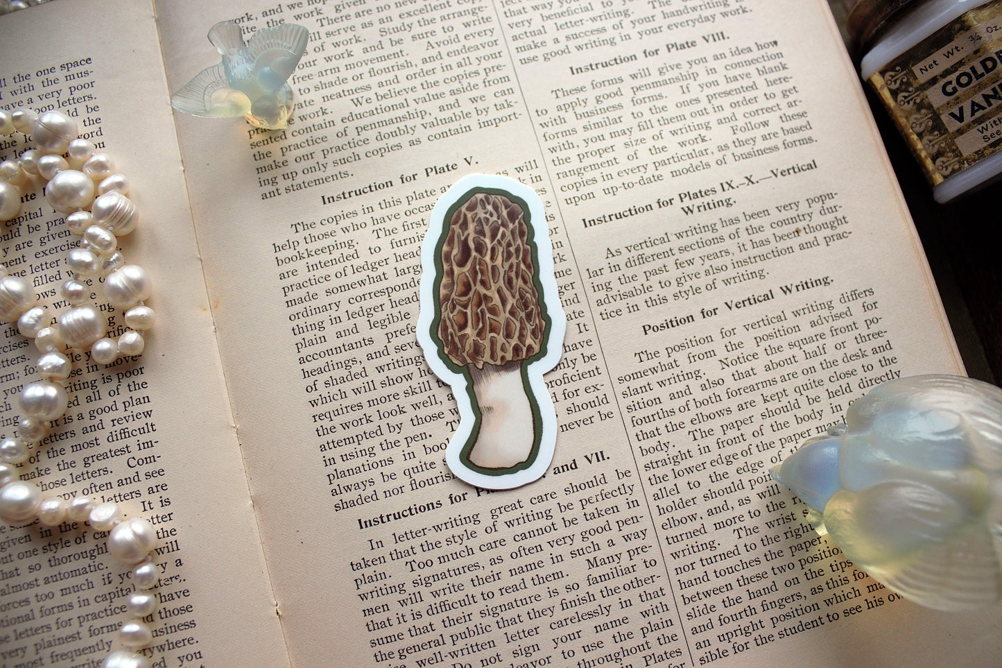 Morel Mushroom Sticker