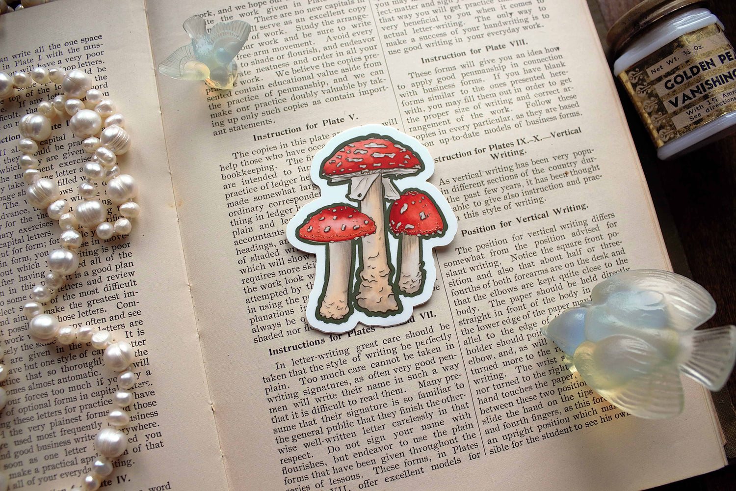 Toadstool Mushroom Sticker