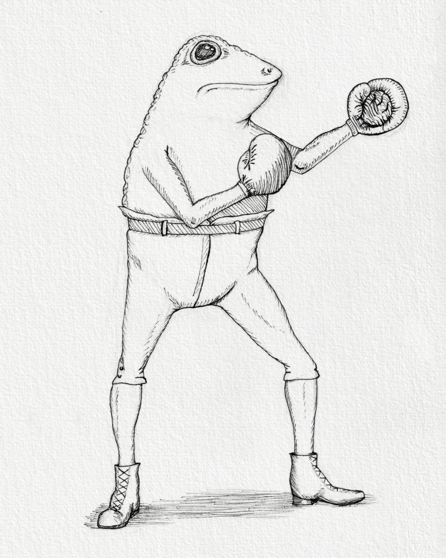 Victorian Boxing Frog Print